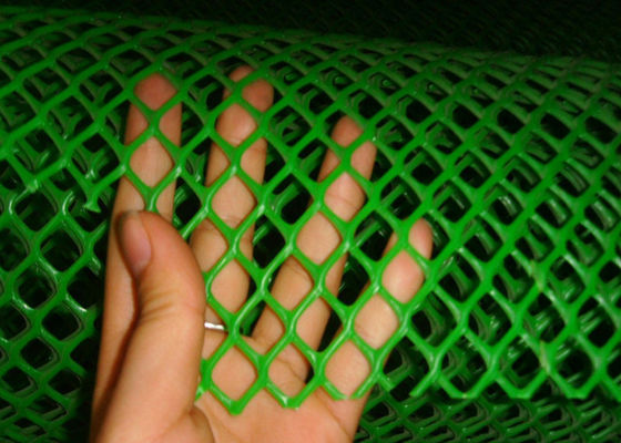 maille en plastique 0.1cm Apeture de vert du certificat Iso9001 de 20mmx20mm